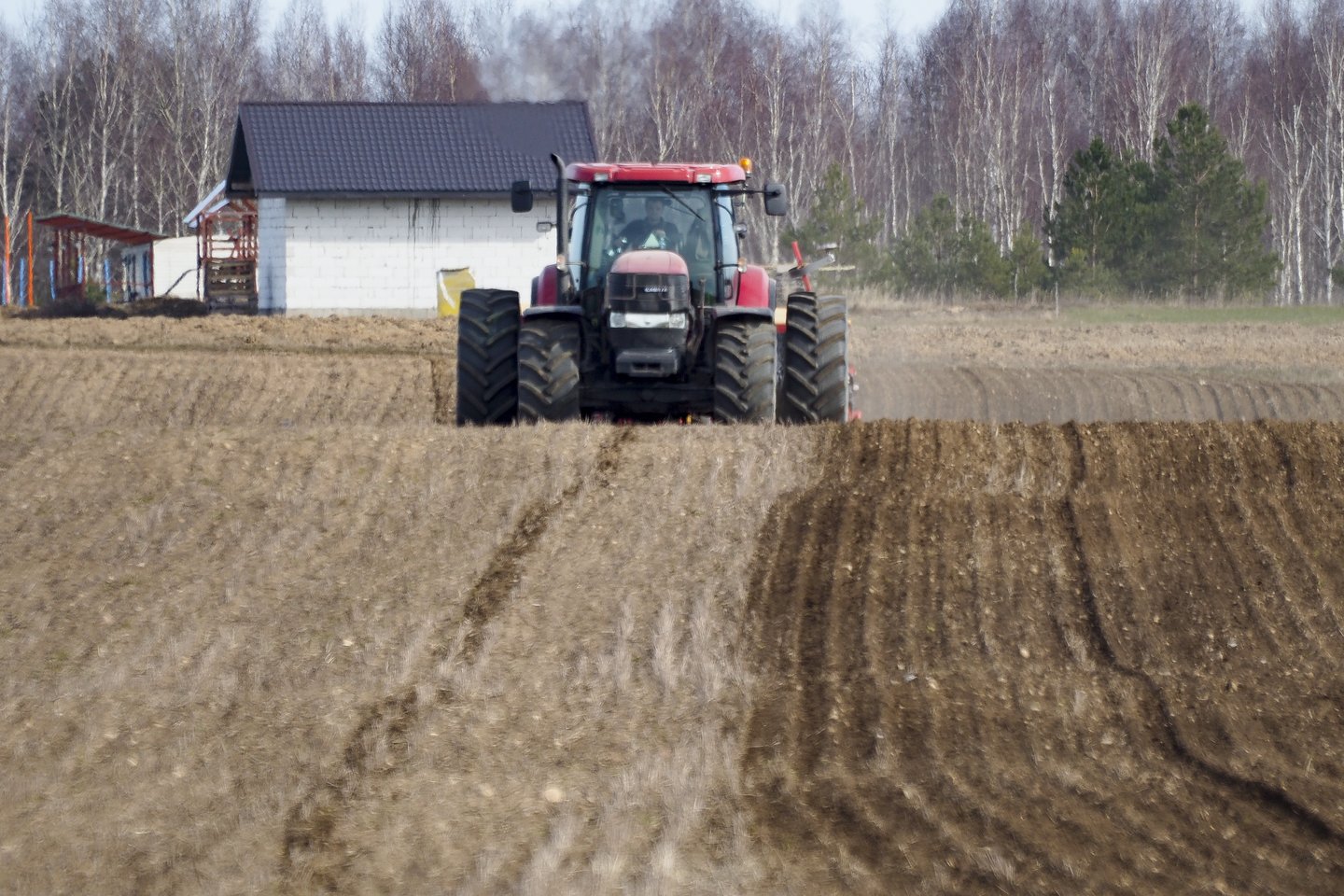 Žemės ūkis