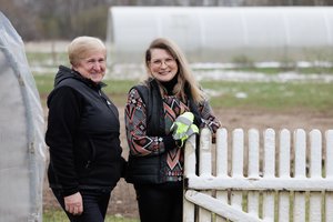 Aistra vynuogėms išaugo šeimos į verslą – sezono metu galima išragauti bent 120 skirtingų veislių