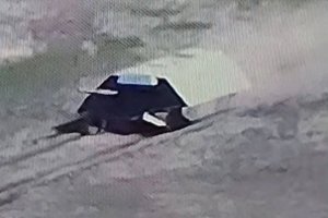 Tokio dar niekas nematė: Ukrainoje pastebėtas itin keistas rusų tankas