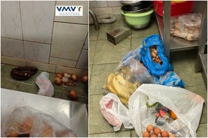 Po patikrinimo vaikų darželyje „Obelėlėje“ – kreipimasis į policiją, iš pareigų atšaukiama direktorė