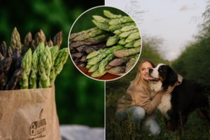 Smidrų ūkį įkūrusi Justina pastebi: ši daržovė – ne tik atradimas virtuvėje, bet tampa ir tikra pramoga