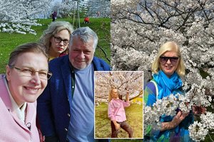 Šalia sužydusių sakurų – minios žmonių: žiedų jūra grožėjosi ir žinomi žmonės