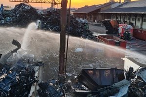 Vilnių dūmuose paskandinusio gaisro žala gamtai skaičiuojama milijonais: dėl ko jis kilo – dar neaišku