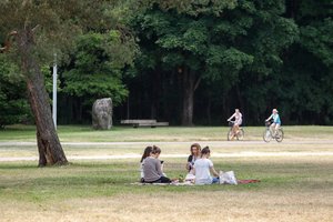 Vingio parke nebeveikia populiari paslauga – iki kada, neaišku