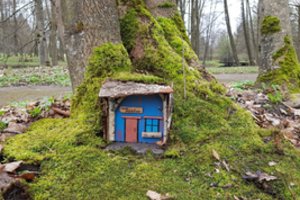 Iš Kamšos draustinio iškeldinti elfai surado naują vietą: praneša, kur juos galima rasti dabar