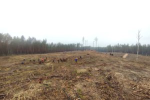 Tęsiami žemyninių Dzūkijos kopų atvėrimo darbai: papasakojo, kas dar laukia