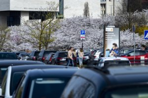 Seimo narys pasipiktino: tai, kas vyksta Sakurų parke – ekologinė katastrofa