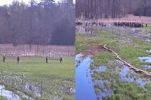 Prie Lenkijos sienos su Baltarusija – agresyvių migrantų antplūdis: nufilmavo, kaip bando prasiveržti