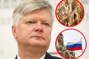 K. Navickas: didesnių muitų taikymas ES mastu išspręstų rusiškų grūdų importo keliamas problemas