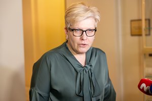 I. Šimonytė: neįmanoma kalbėti apie Trijų jūrų regiono ekonominį vystymąsi ir nekalbėti apie saugumą
