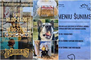 Kodėl žmonės su augintiniais Lietuvoje nėra laukiami visur? Situacija Žemaitijos sostinėje nemaloniai nustebino