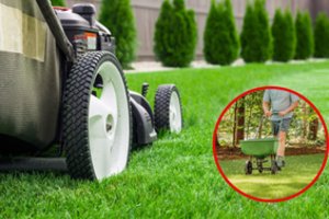 Palengvinti vejos priežiūrą gali ne tik robotas: atlikę šiuos darbus laiku, vėliau mėgausitės žaliuoju kilimu 