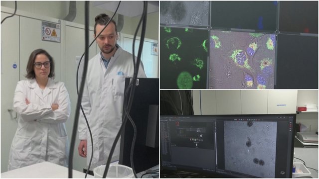 Vokietijos mokslininkai pristatė pirmąjį pasaulyje mikrorobotą: tikisi pasitarnaus gydant vėžinius susirgimus