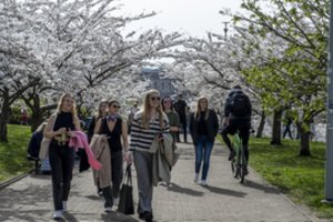 Daugeliui tai gali atrodyti makabriška: sparčiai augant darbo užmokesčiui, gąsdina vienas scenarijus
