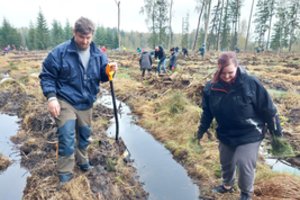 Lietuvoje prasidėjo pirmieji miškasodžiai: per kelias valandas – 24 000 medelių