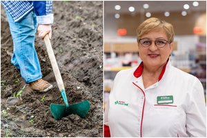 Įspėja sodininkus: menka žaizdelė – vartai mirtinai infekcijai