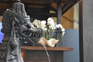 Ilgo skrydžio neprireiks – Balio sala yra ir Druskininkuose