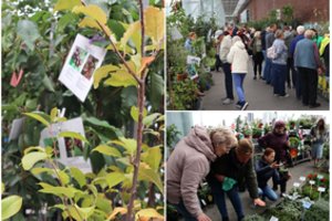 Didžioji sodinukų mugė: paskelbtos dvi datos – tikrai netrūks egzotikos ir ypač saugotinų senųjų augalų veislių 