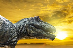 Turėtume tik padėkoti: kaip meteoritas pražudė dinozaurus, bet suteikė galimybę egzistuoti mums