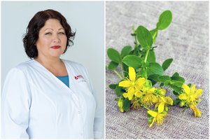 Vaistažolių atmintinė: gydytoja įspėjo, kas gali pakenkti