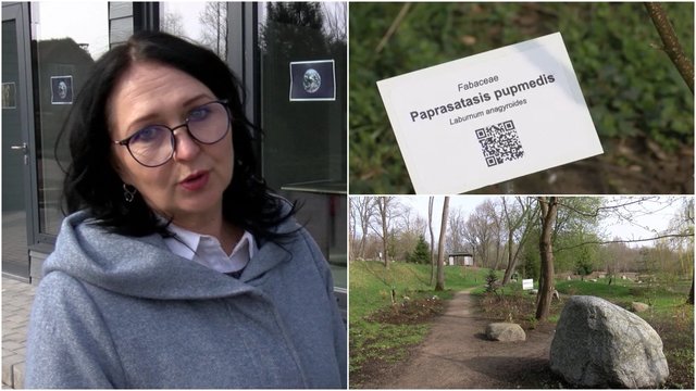 Pristatė, kaip keitėsi atnaujintas Klaipėdos universiteto Botanikos sodas: pažinti augalus nuo šiol bus lengviau