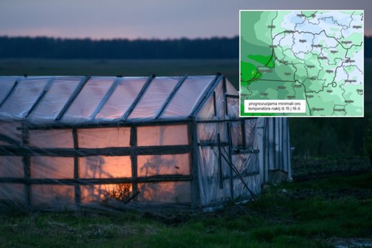 „Orai ir klimatas Lietuvoje“ grupės specialistai įspėja pasirūpinti lepesniais augalais – antradienio naktį kandžiosis šalna.