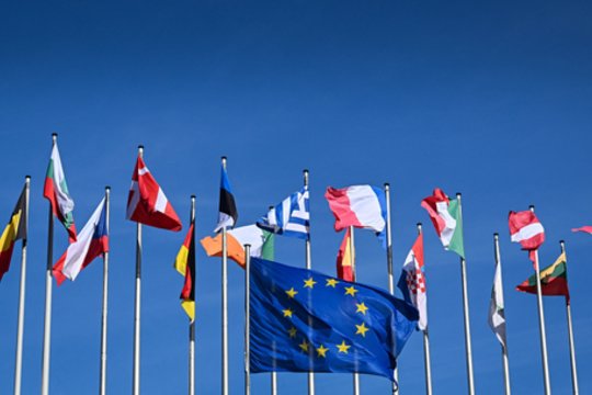ES valstybių vėliavos.