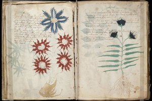 Mokslininkai tikina iššifravę paslaptingiausią pasaulio knygą, parašytą nežinoma kalba