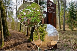 Lietuvoje – naujas pažintinis maršrutas: laikas neprailgs, o įspūdžiai išliks ilgam