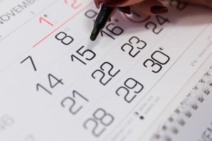 Atmintinų dienų sąraše – jaunimo darbuotojams, lituanistinėms mokykloms ir mecenatystei skirtos dienos