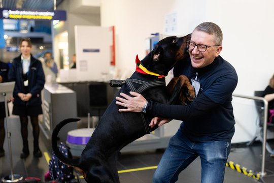 Terapiniai šunys Vilniaus oro uoste padėjo keleiviams suvaldyti skrydžio baimę.