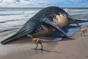 Europoje aptiktos milžiniško gyvūno liekanos: tai gali būti didžiausias kada nors rastas jūrinis roplys