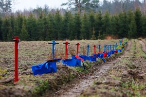 Iš organizacijų – kritika miškasodžiui: nuo boikoto iki raginimo grįžti prie Nacionalinio miškų susitarimo