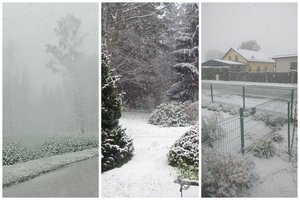 Į dalį Lietuvos visu smagumu sugrįžo žiema: žmonės dalinasi kadrais ir vaizdo įrašais