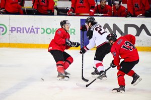 Ledo ritulininkų pozicijos: kuo jos ypatingos ir kuo skiriasi jų užduotys?