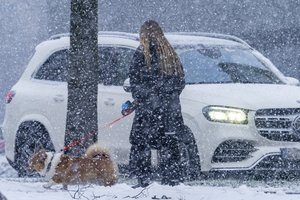 Ne visiems pavyks išvengti žiemiškų orų: pirmadienį žemę padengs storas sniego sluoksnis