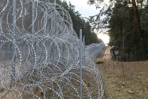 Pastarąją parą į šalį neįleisti septyni migrantai
