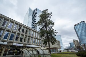 A. Avulis: būsto nuomos kainos gali augti nepriklausomai nuo to, ar į Lietuvą atvyks vokiečių kariai, ar ne