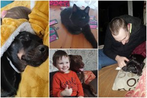 Žemaičių šeima – išprotėjusi dėl augintinių: gyvenimas užsienyje netrukdo gelbėti šunis ir kates iš Lietuvos