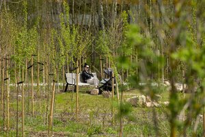 Vilniaus Perkūnkiemyje – nauja viešoji erdvė, kurta labai neįprastai 
