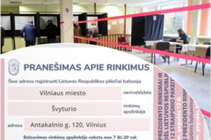 Rinkėjų pašto dėžutėse – pranešimai apie dvejus rinkimus