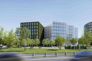 Vilniuje pjaus 43 medžius: gyventojus kviečia įsitikinti, kad kito pasirinkimo nėra