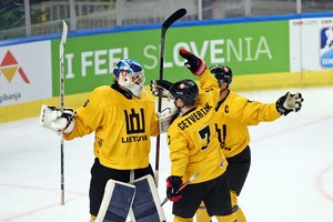 Testas. Ką žinote apie ledo ritulį?