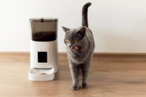 Išmanūs įrenginiai gyvūnams – šių dienų realybė: palengvina ne tik keturkojų, bet ir jų šeimininkų gyvenimą 