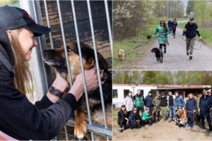 Aukštesnis tikslas suvienija – „Nestlé Baltics“ gyvūnų prieglaudoms paaukos daugiau nei 1,3 tonas maisto