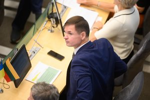 P. Saudargas apie prezidento pasisakymą dėl suimtų L. Volkovo užpuolikų: taip elgtis turbūt nederėtų