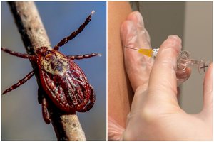 Sutaupys 100 eurų: skelbia, kas nuo erkinio encefalito galės pasiskiepyti nemokamai