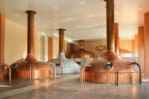 Ilgametė partnerystė – pagal tvarumo principus