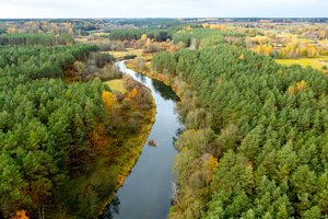 Aplinkosaugininkas įvardijo problemą, trukdančią įgyvendinti tvarumo tikslus: Baltijos šalys privalo eiti išvien