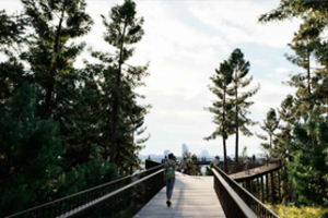 Siūlo labai netradicinį parką Vilniuje: vestų ten ledynmečio pėdsakais 